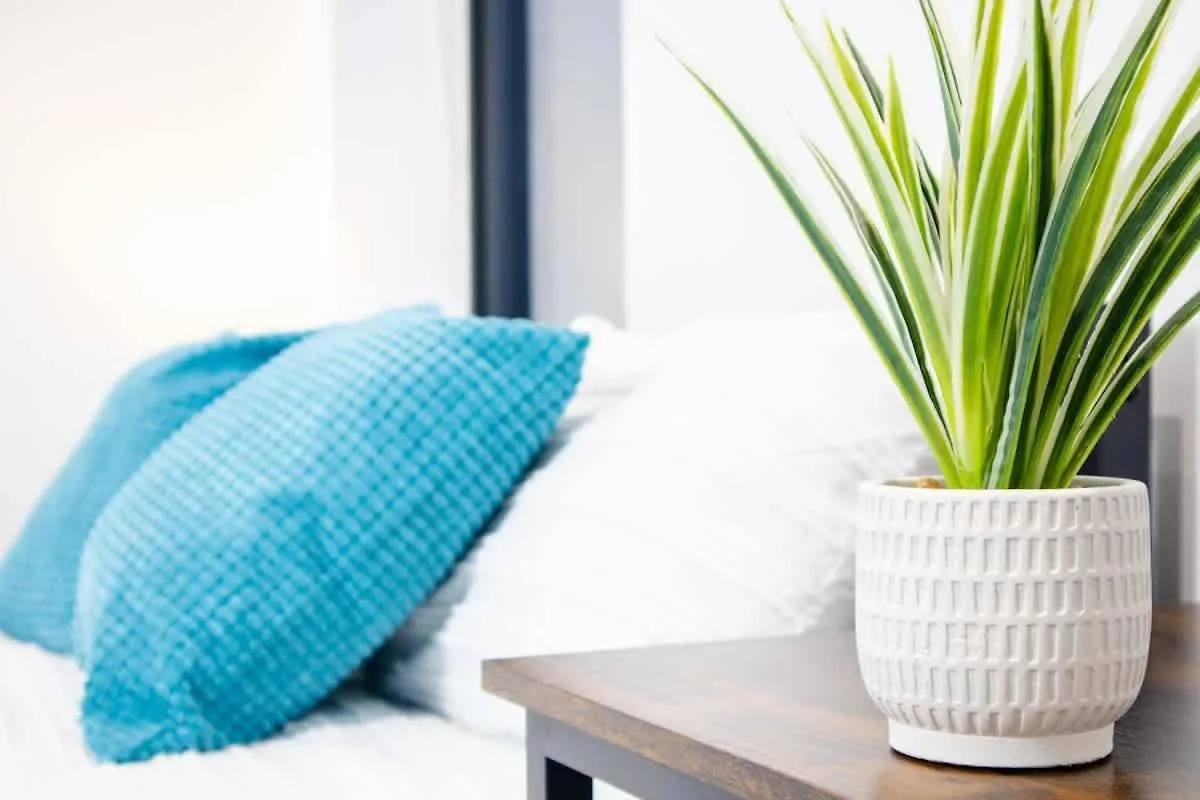 Central 2 Bed 2 Bath Apartment Near Brighton College, Beach, Hospital - Long Stay Offers