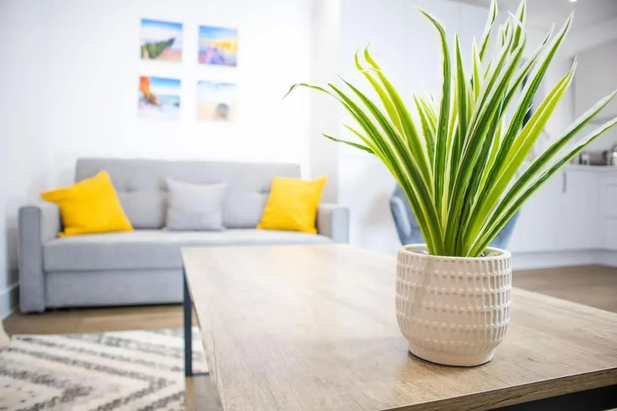 Central 2 Bed 2 Bath Apartment Near Brighton College, Beach, Hospital - Long Stay Offers Großbritannien